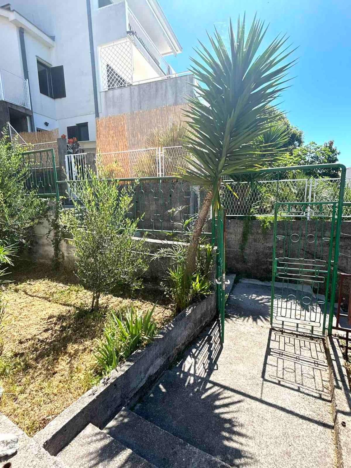 Apartments Maya Herceg Novi Exterior photo